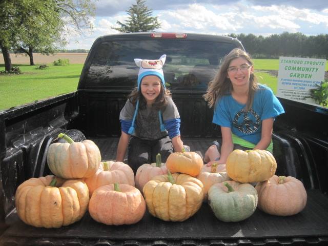 4-Hers planted pink pumpkins through the Pink Pumpkin Patch Foundation to benefit breast cancer research.